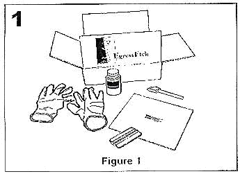 You will need etching creme, squeege, foam brush, stencil, and gloves.